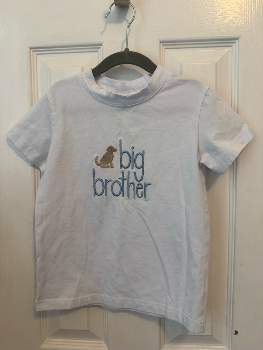 Stitchy Fish embroidered “Big Brother” shirt- size 5